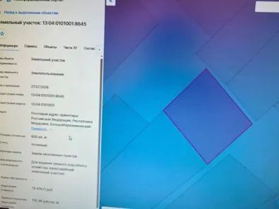Продажа, земельный участок 600 кв.м, ЛПХ, с. Большие Березники, КН 13:04:0101001:8645