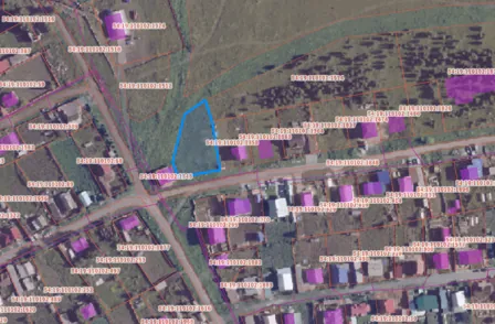Аренда, земельный участок 1 500 кв.м, ИЖС, КН 54:19:110102:1866