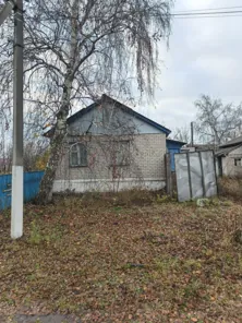 Продажа, здание 57,2 кв.м с земельным участком, п. Терновское, КН 36:30:0101032:381