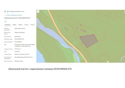 Аренда, земельный участок 10 755 кв.м, рекреация, с. Артыбаш, КН 04:03:090202:275
