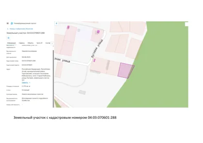 Аренда, земельный участок 2 215 кв.м, ЛПХ, с. Старый Кебезень, КН 04:03:070601:288