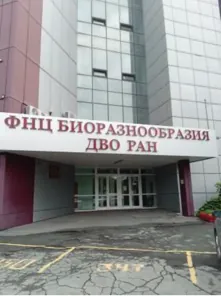 Аренда, нежилое помещение 165,1 кв.м, г. Благовещенск, КН 28:28:050037:670