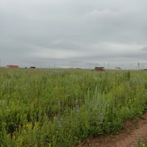 Продажа, земельный участок 861 кв.м, ИЖС, д. Мыльники, КН 18:18:016001:1390