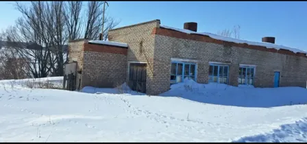 Продажа, здание 113,3 кв.м, п. Дмитриевский сельсовет, КН 56:07:0501001:366