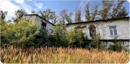 Продажа, здание 1 301,9 кв.м с земельным участком, п. Темниковское, КН 13:19:0101017:375