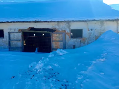 Продажа, здание 1 586 кв.м с земельным участком, с. Альменево, КН 45:01:030112:338