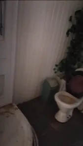 Аренда, здание 312,7 кв.м, п. Федоровский сельсовет, КН 02:50:000000:1249
