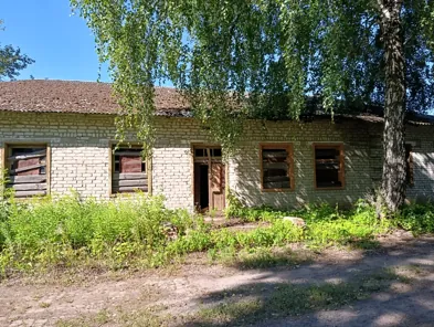 Продажа, здание 256,8 кв.м, п. Крупецкой сельсовет, КН 46:05:110702:947