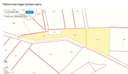 Продажа, земельный участок 954 916 кв.м, с/х, с. Новоселище, КН 25:19:000000:2802