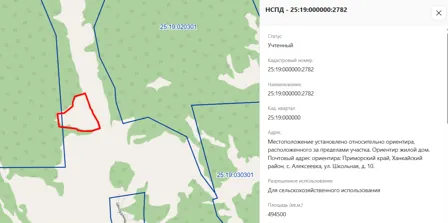 Продажа, земельный участок 494 500 кв.м, с/х, с. Алексеевка, КН 25:19:000000:2782