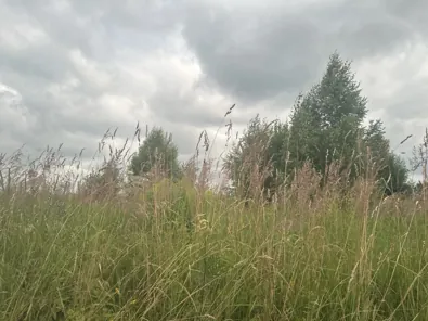 Аренда, земельный участок 1 346 кв.м, ЛПХ, д. Акатово
