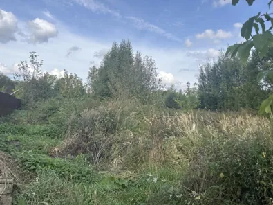 Аренда, земельный участок 1 246 кв.м, ЛПХ, д. Ольховка
