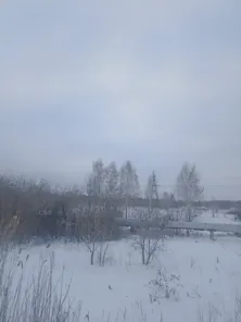 Аренда, земельный участок 13 165 кв.м, Иной вид, г. Омск, КН 55:36:030117:1025