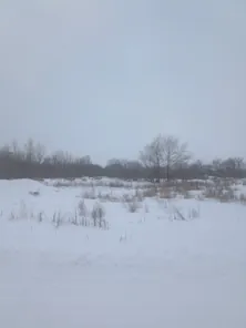 Аренда, земельный участок 6 088 кв.м, Иной вид, г. Омск, КН 55:36:030117:1026