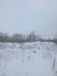 Аренда, земельный участок 7 094 кв.м, Иной вид, г. Омск, КН 55:36:030117:1027