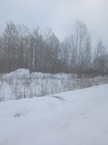 Аренда, земельный участок 6 494 кв.м, Иной вид, г. Омск, КН 55:36:030117:1029