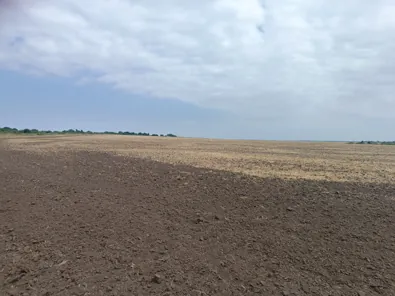 Аренда, земельный участок 3 807 021 кв.м, с/х, с. Грушевское, КН 26:18:000000:1262