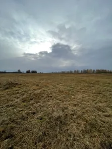 Продажа, земельный участок 5 391 кв.м, Жилая застройка, КН 13:09:0312001:800