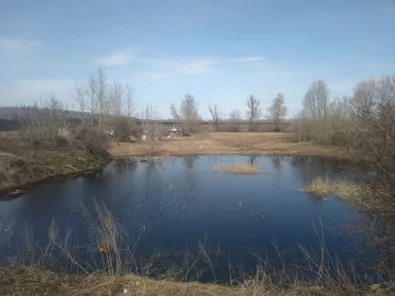Продажа, сооружение 22 243 кв.м, п. Богословский сельсовет, КН 58:24:0292301:823
