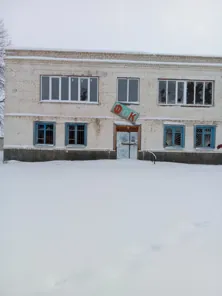 Продажа, здание 536,8 кв.м с земельным участком, п. Линевское, КН 34:07:070003:4514