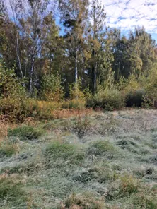 Продажа, земельный участок 653 кв.м, ИЖС, г. Ладушкин, КН 39:20:010110:396