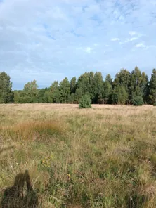 Продажа, земельный участок 1 000 кв.м, ИЖС, г. Ладушкин, КН 39:20:010110:443