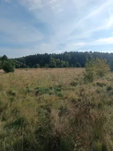Продажа, земельный участок 800 кв.м, ИЖС, г. Ладушкин, КН 39:20:010110:439