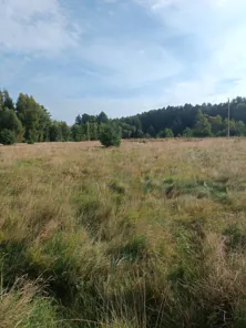 Продажа, земельный участок 800 кв.м, ИЖС, г. Ладушкин, КН 39:20:010110:445