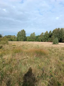 Продажа, земельный участок 800 кв.м, ИЖС, г. Ладушкин, КН 39:20:010110:446
