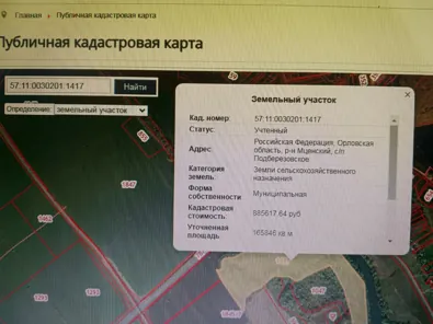 Продажа, земельный участок 165 846 кв.м, с/х, п. Подберезовское, КН 57:11:0030201:1417