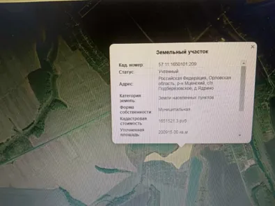Продажа, земельный участок 200 915 кв.м, Сенокошение, п. Подберёзовское, КН 57:11:1650101:209
