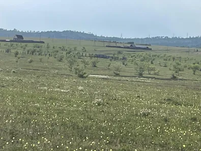 Продажа, 1/3 доли, земельный участок 963 кв.м, г. Чита, КН 75:32:040333:1442