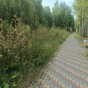 Место для размещения нестационарного торгового объекта (торгового павильона).