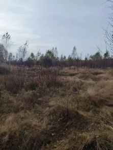 Аренда, земельный участок 8 503 кв.м, с/х, п. Инякинское, КН 62:25:0020412:220