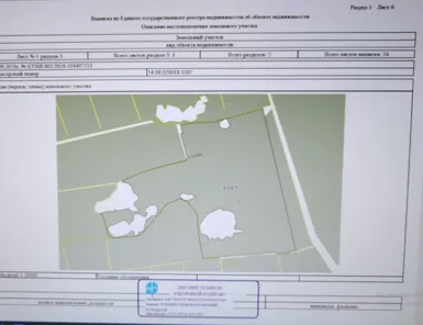 Аренда, земельный участок 2 300 368 кв.м, Растениеводство, Карасукский р-н, КН 54:08:028618:1107