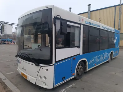 Аренда, Автобус МАЗ 206086, VIN Y3M206086M0003410