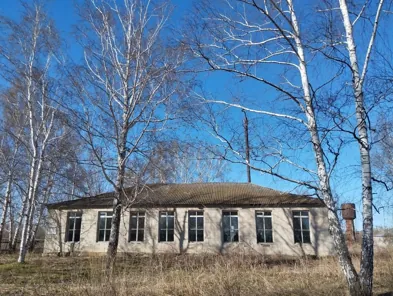 Продажа, здание 258,1 кв.м, п. Алексеевский сельсовет, КН 02:14:040201:344