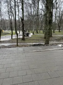 Право на размещение объекта бизнеса на территории парка городского округа Лобня Московской области