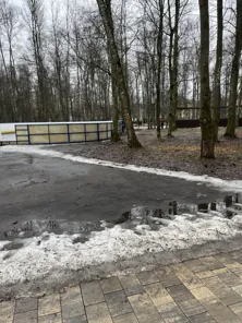 Право на размещение объекта бизнеса на территории парка городского округа Лобня Московской области