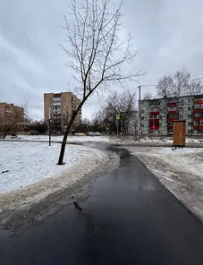 Право на размещение объекта бизнеса на территории парка городского округа Лобня Московской области