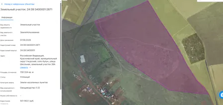 Аренда, земельный участок 159 334 кв.м, Овощеводство, с. Кулун, КН 24:39:3400001:2871