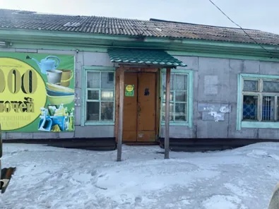 Продажа, здание 98,8 кв.м с земельным участком, с. Анцирь, КН 24:18:3001033:71