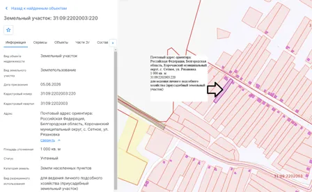 Продажа, земельный участок 1 000 кв.м, ЛПХ, с. Сетное, КН 31:09:2202003:220
