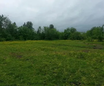 Аренда, земельный участок 725 кв.м, ЛПХ