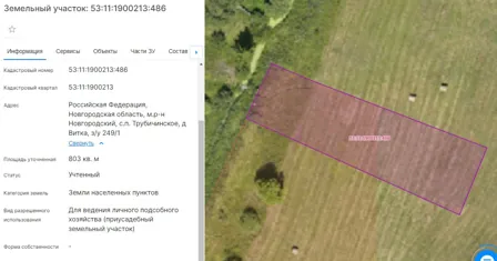 Продажа, земельный участок 803 кв.м, ЛПХ, п. Трубичинское, КН 53:11:1900213:486