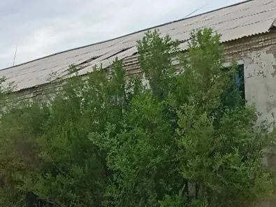Продажа, нежилое здание 628 кв.м, с. Успенка, КН 22:46:060601:107