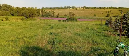 Аренда, земельный участок 526 кв.м, садоводство, с. Ясены
