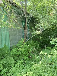 Продажа, здание 1 679 кв.м с земельным участком, с. Поярково, КН 28:18:010171:57