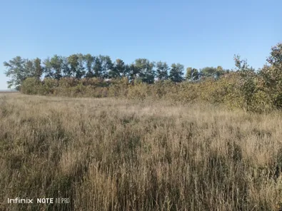 Аренда, земельный участок 989 129 кв.м, с/х, п. Самарский сельсовет, КН 22:26:040204:474