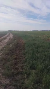 Аренда, земельный участок 694 020 кв.м, с/х, п. Самарский сельсовет, КН 22:26:040204:475